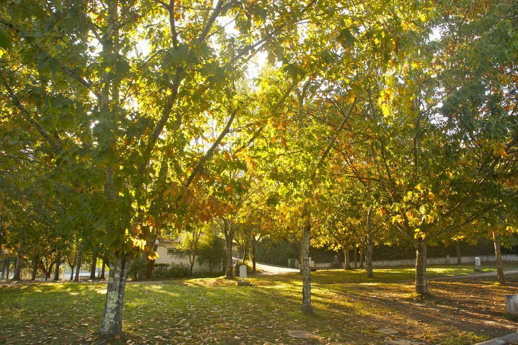 Gois Camping 外观 照片